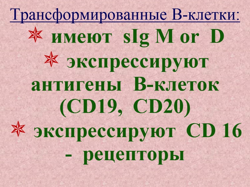 Трансформированные В-клетки:  имеют  sIg M or  D  экспрессируют антигены 